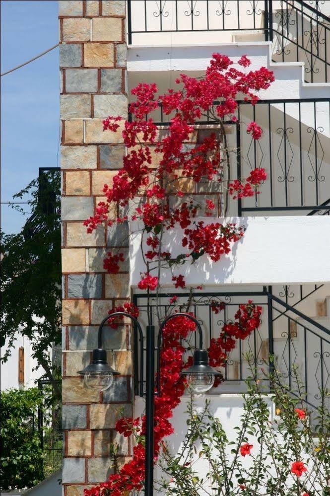 Agar Apart Hotel Gümbet Exterior foto